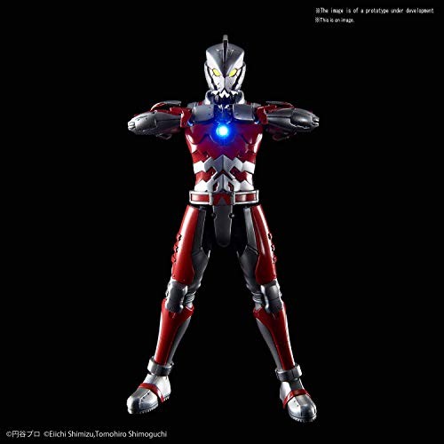 Figure rise standard 12 - standard, 1/12